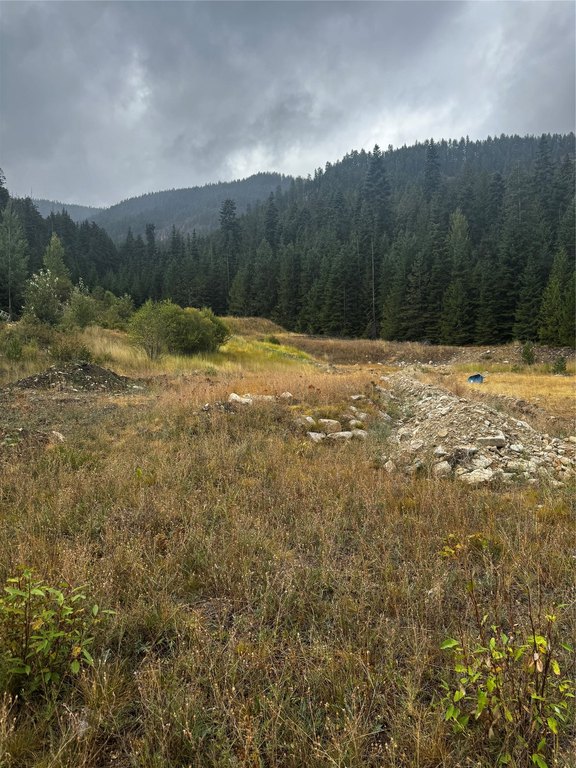 Picture 11