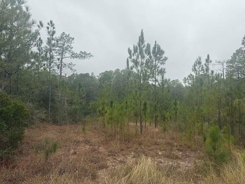 Rayburn Country 0.51-Acre Lot