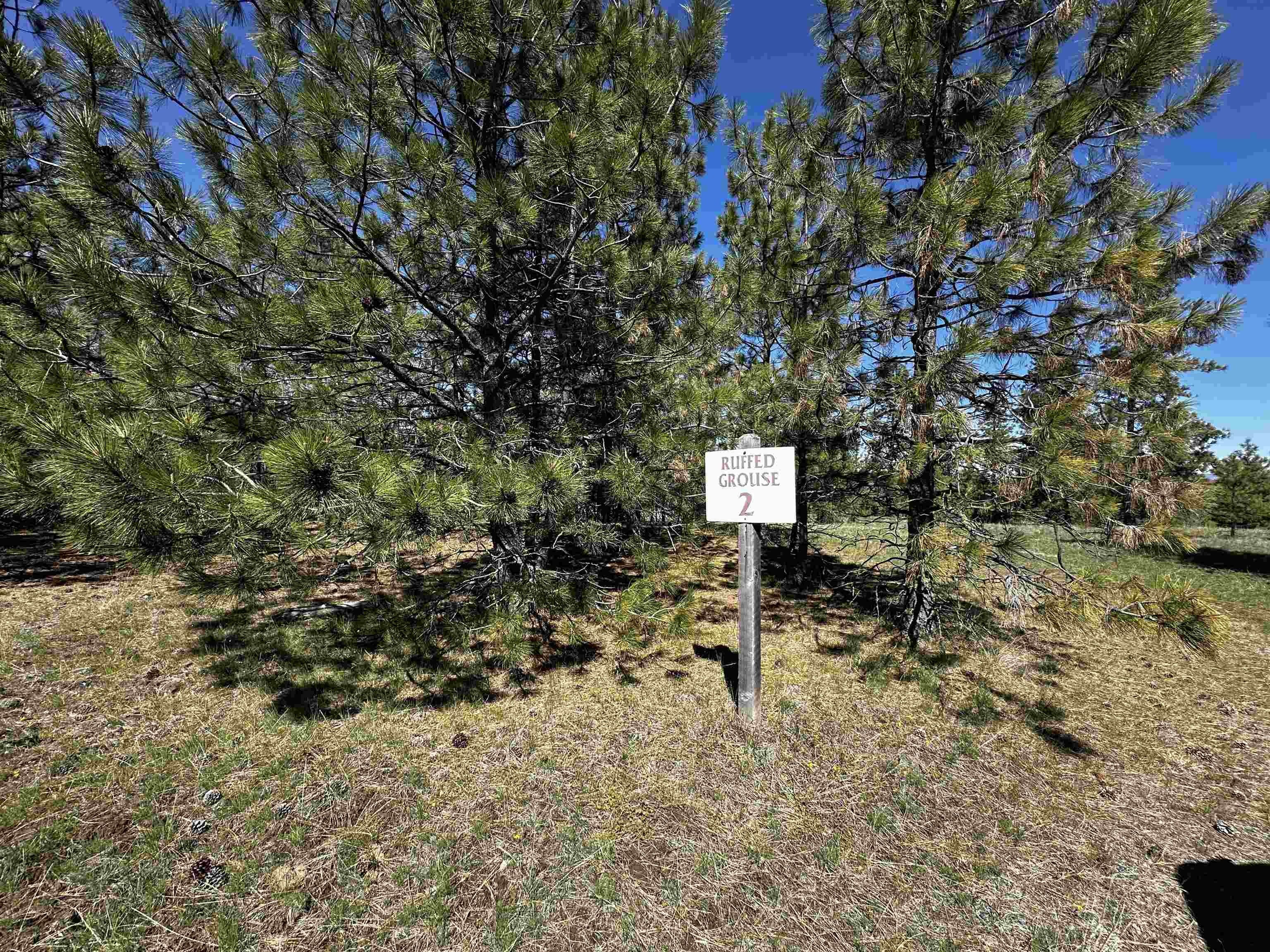 Land with Community Amenities