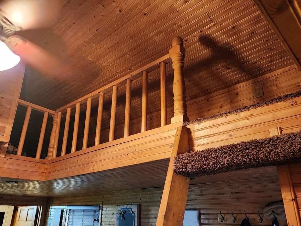 Picture 8