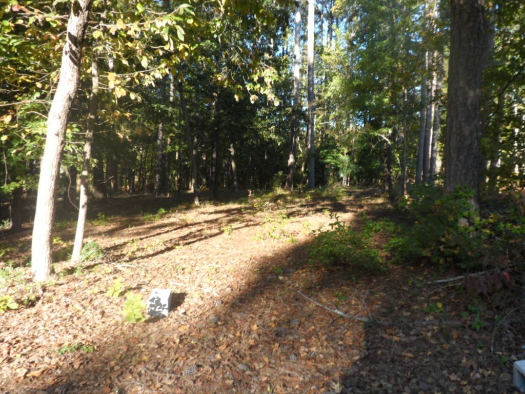 Picture 8
