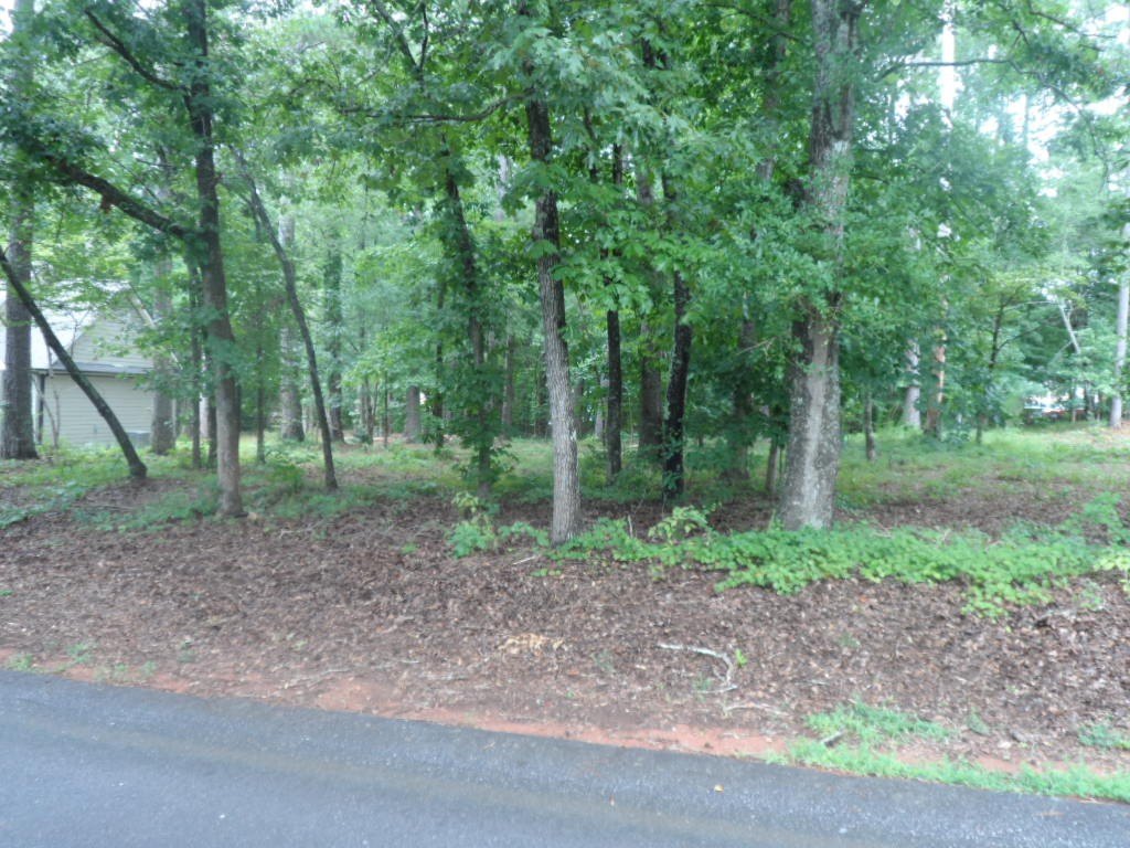 Picture 2