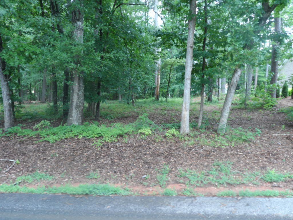 Picture 3