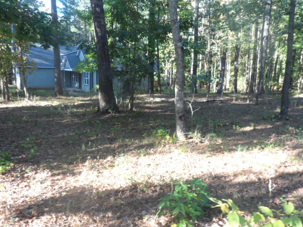 Picture 11