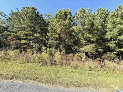 Residential Lot in Quiet Community