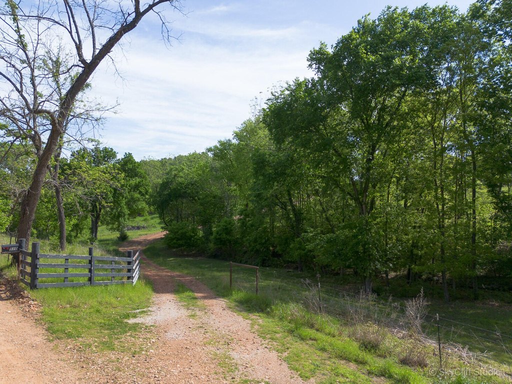 Picture 38