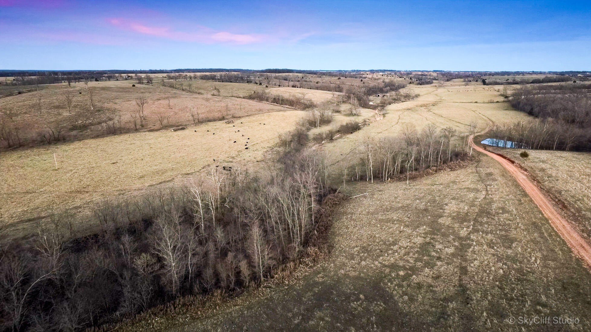 Expansive Ranch Near Growing Metro