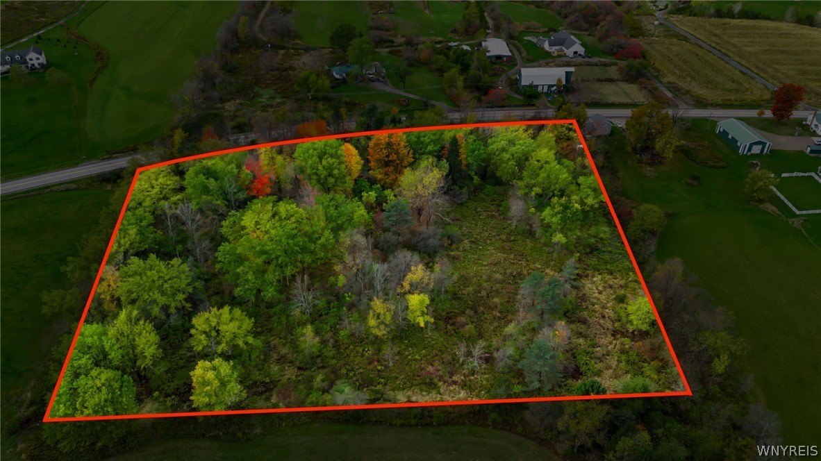 North Collins Land Opportunity