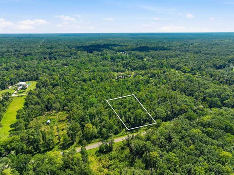 LOTS AND LAND, Hastings, FL