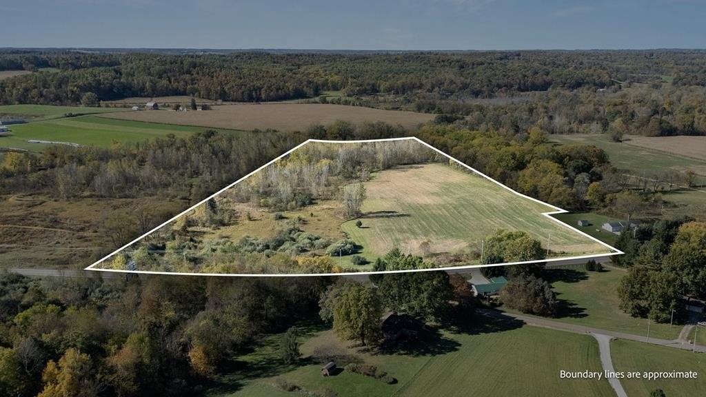 Picture 3