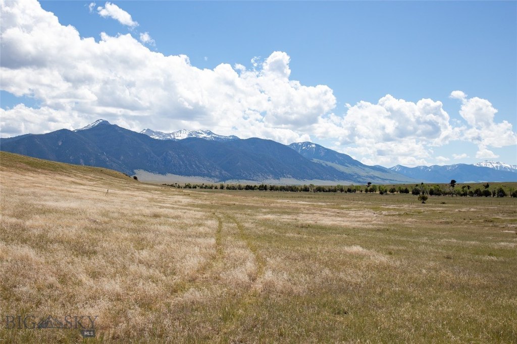 Picture 23