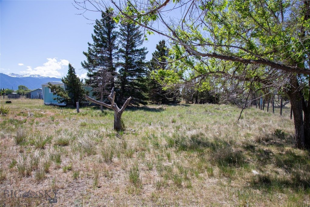 Picture 28