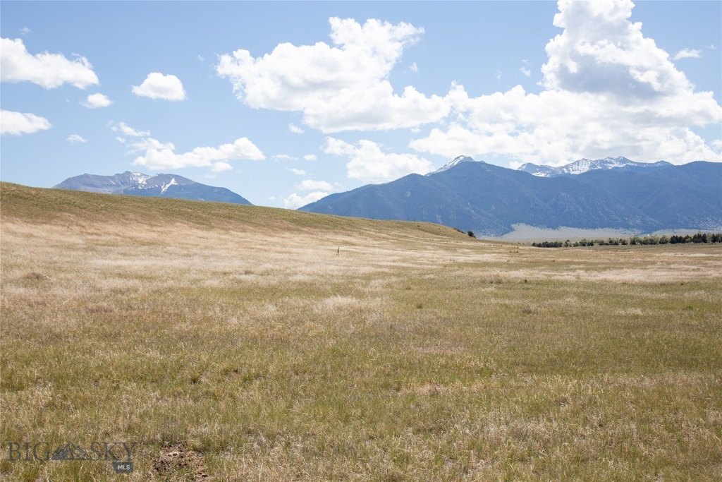 Picture 7