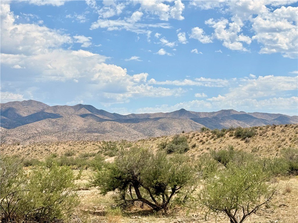 Picture 14