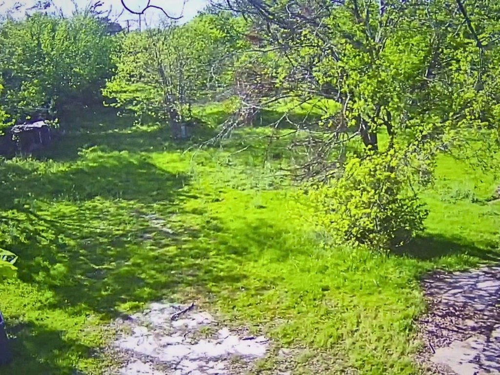 Picture 7