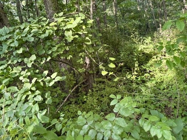 Picture 12