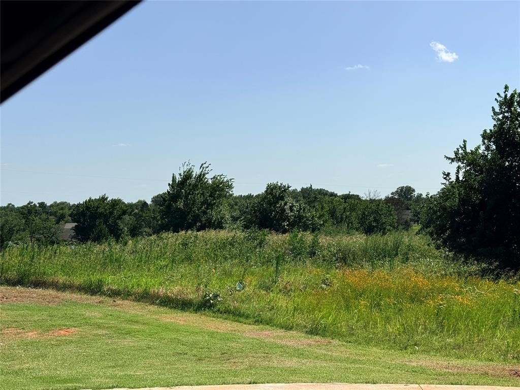 Picture 24
