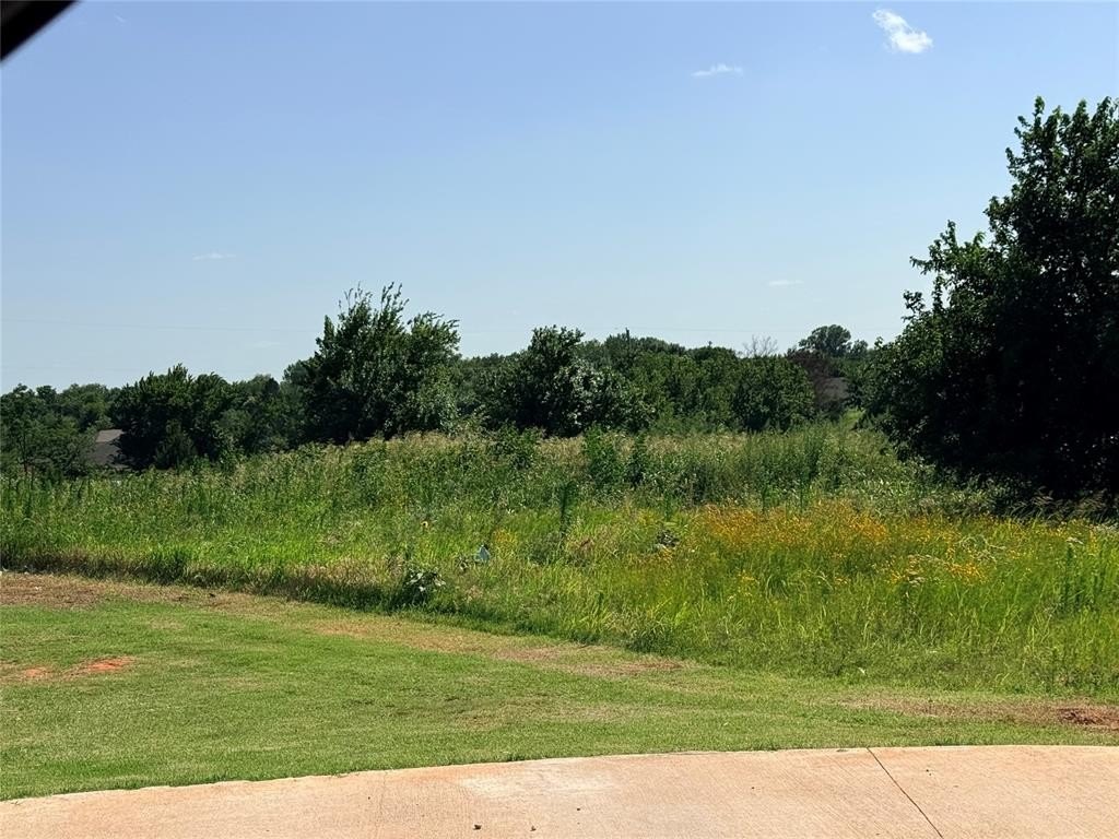 Picture 23