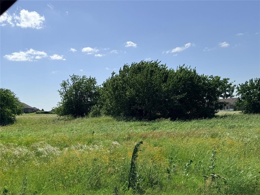 Picture 13
