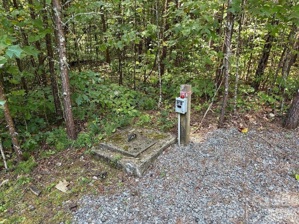 Picture 10