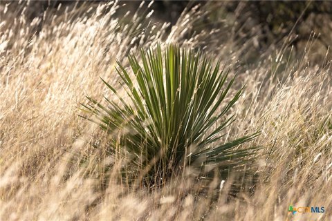 Texas Hill Country Land