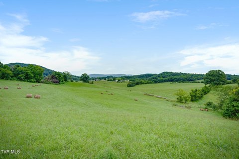 LAND - Afton, TN
