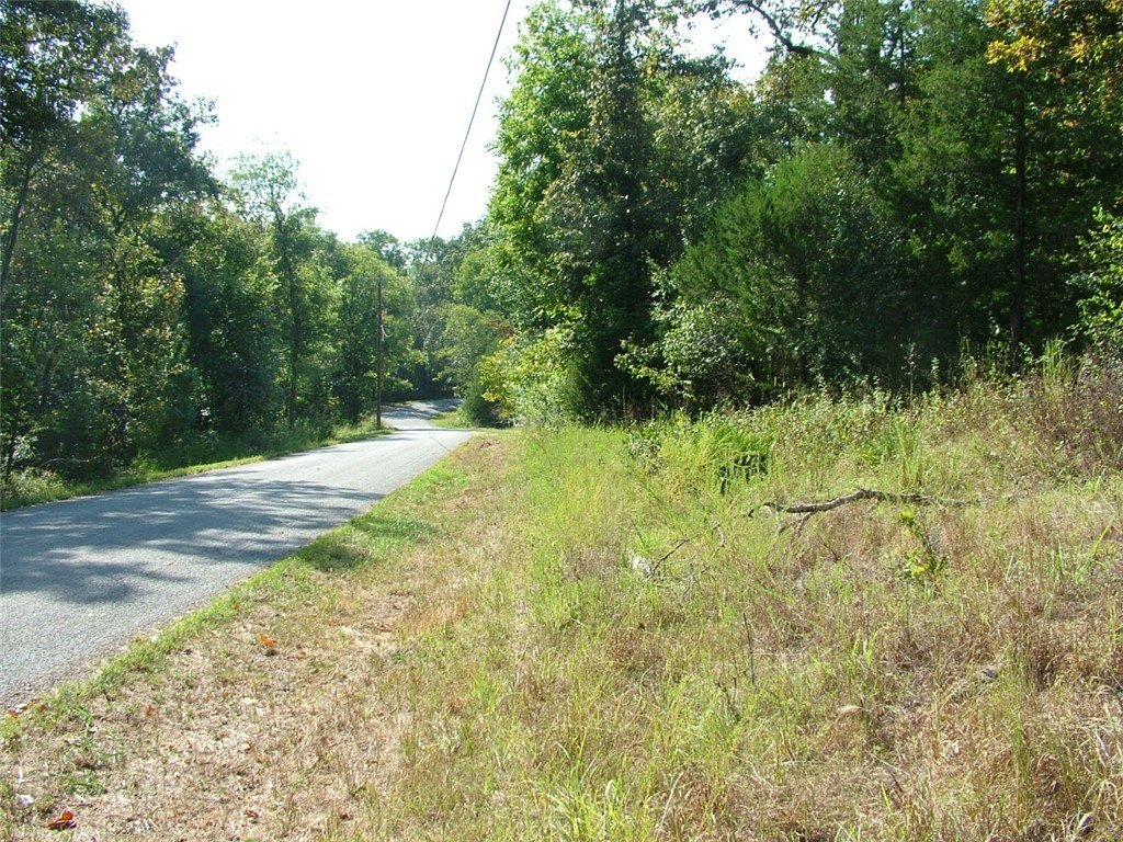 Picture 8