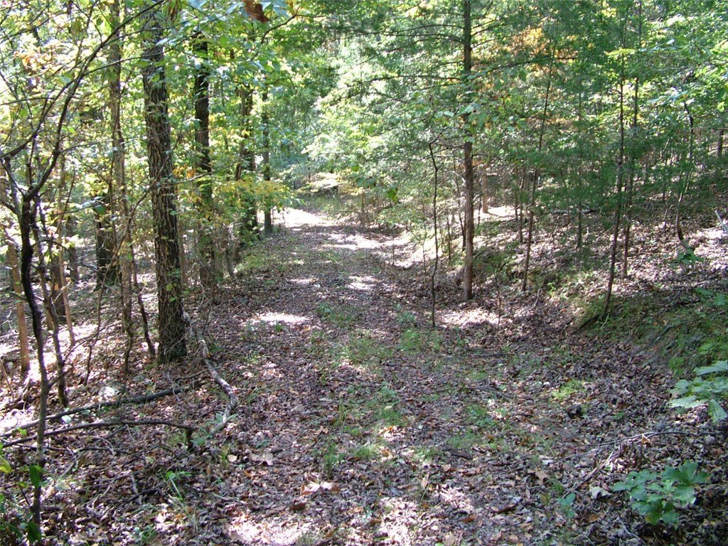 Picture 15