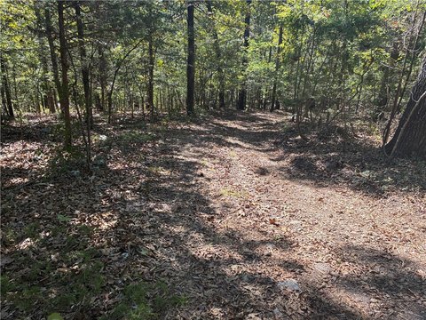 Unrestricted Land Near White River