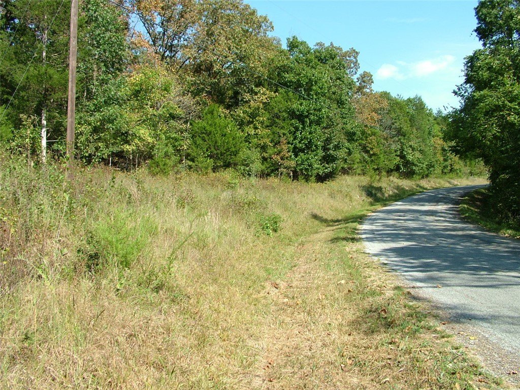 Picture 7
