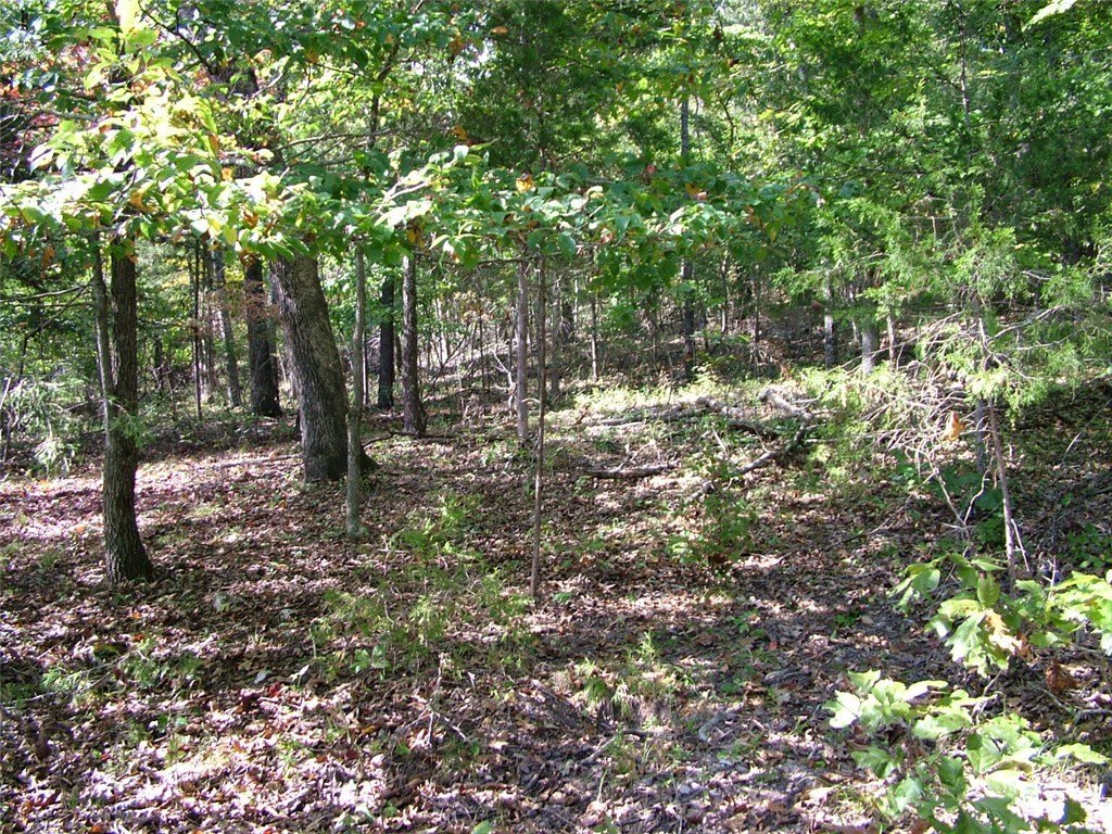 Picture 10