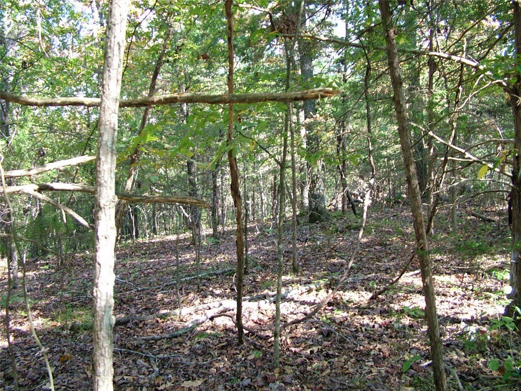 Picture 13