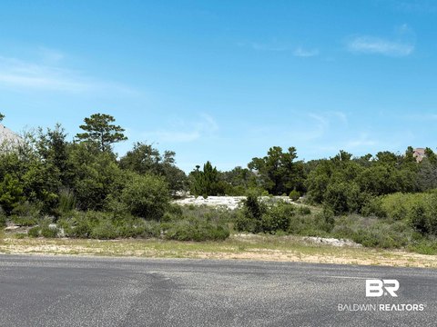 LAND - Orange Beach, AL