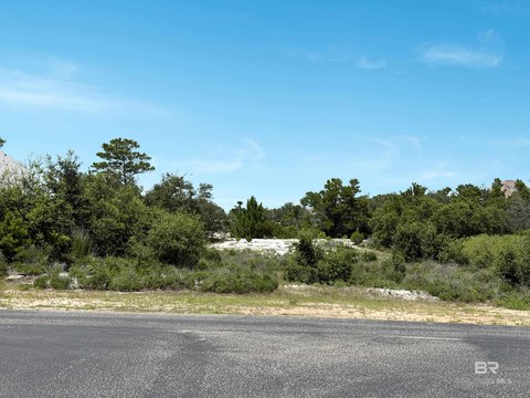 LAND - Orange Beach, AL