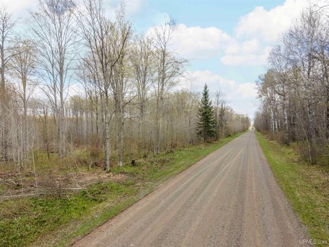 Wooded Land Parcel in Tipler