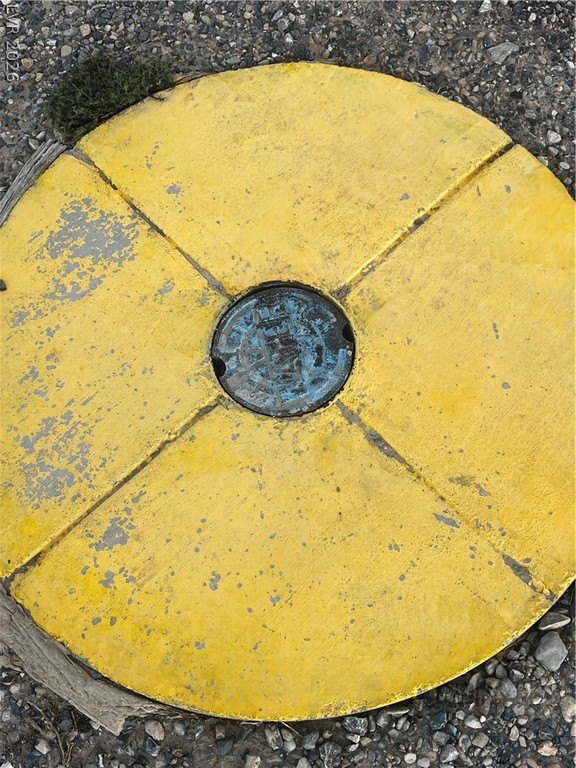 Picture 8