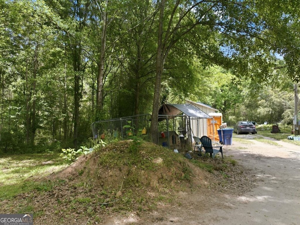 Picture 13