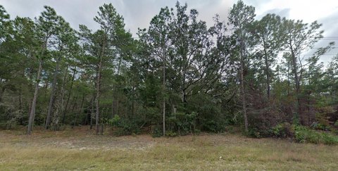 Land, FL