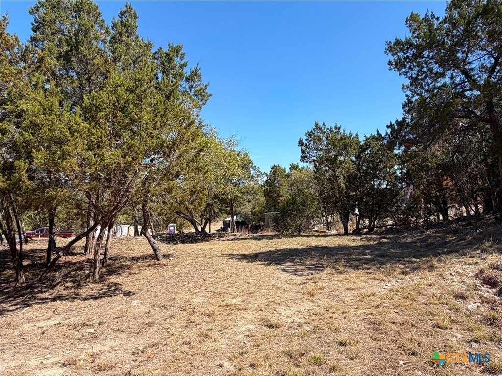 Picture 23