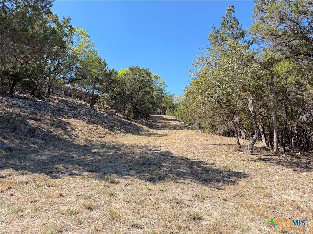 Picture 25