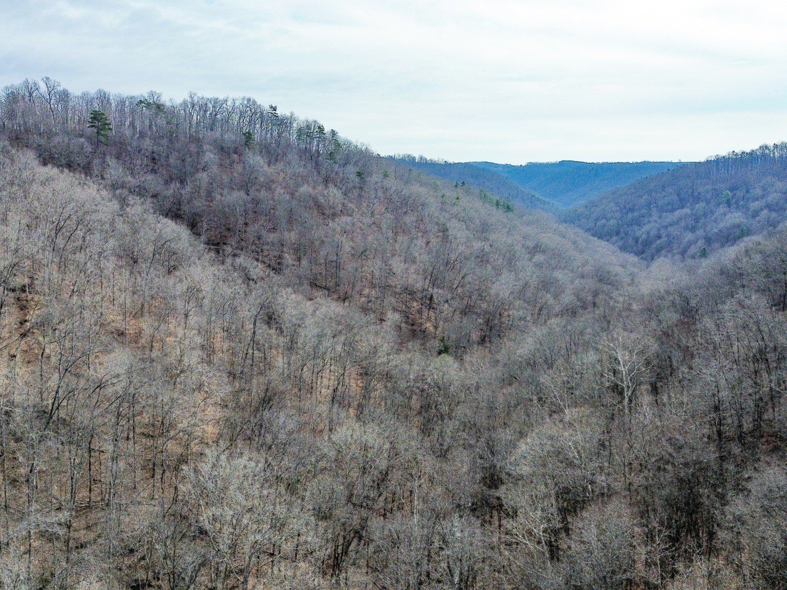 Secluded Land in Elk Restoration Zone