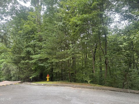 LAND - Sevierville, TN