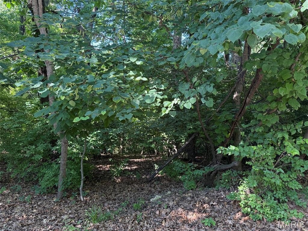 Picture 3