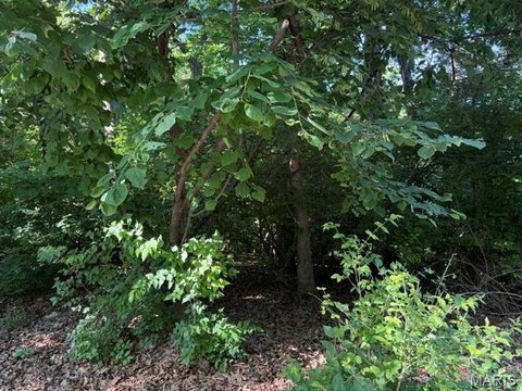 Land - Ballwin, MO