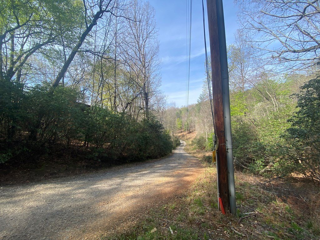 Picture 18