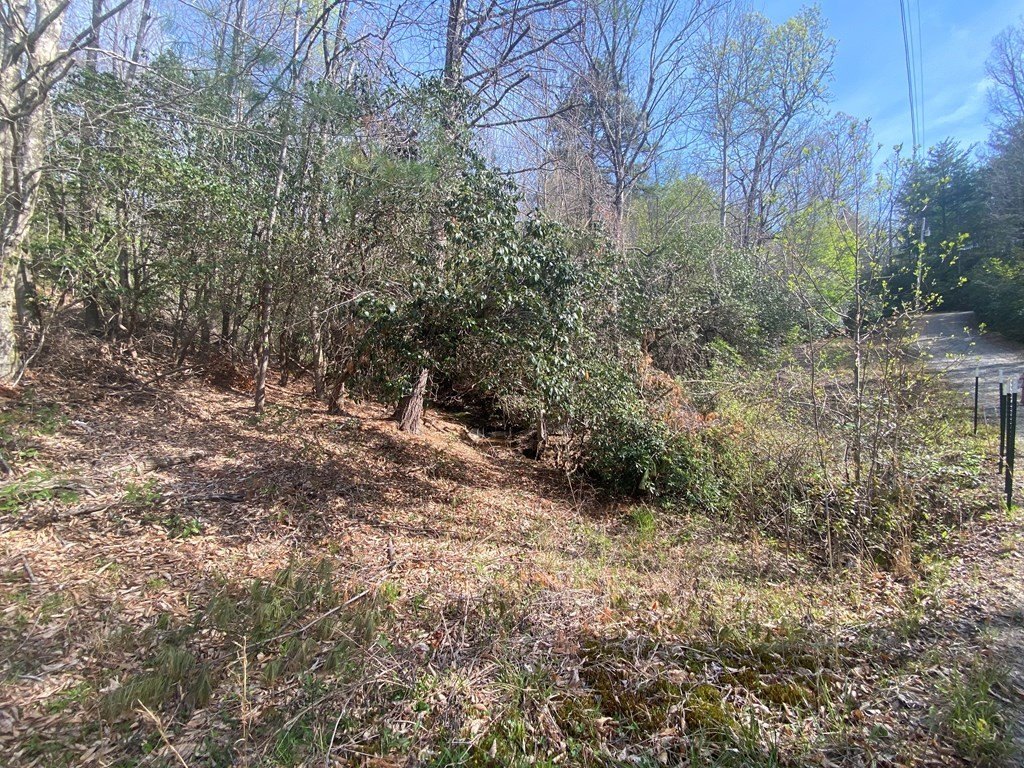 Picture 23