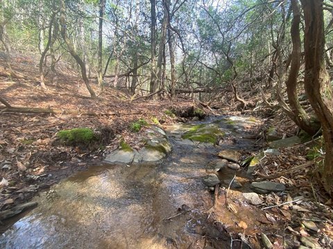 Land, Hayesville, NC