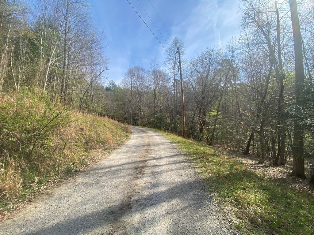 Picture 7