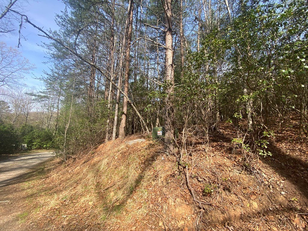 Picture 21