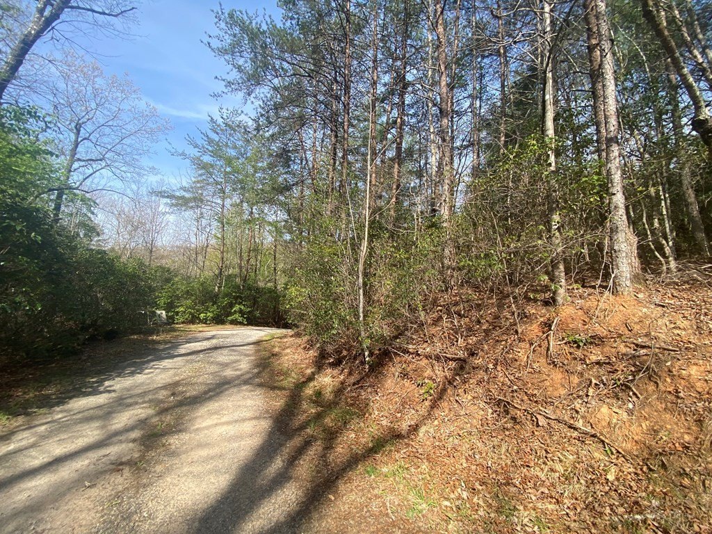 Picture 22
